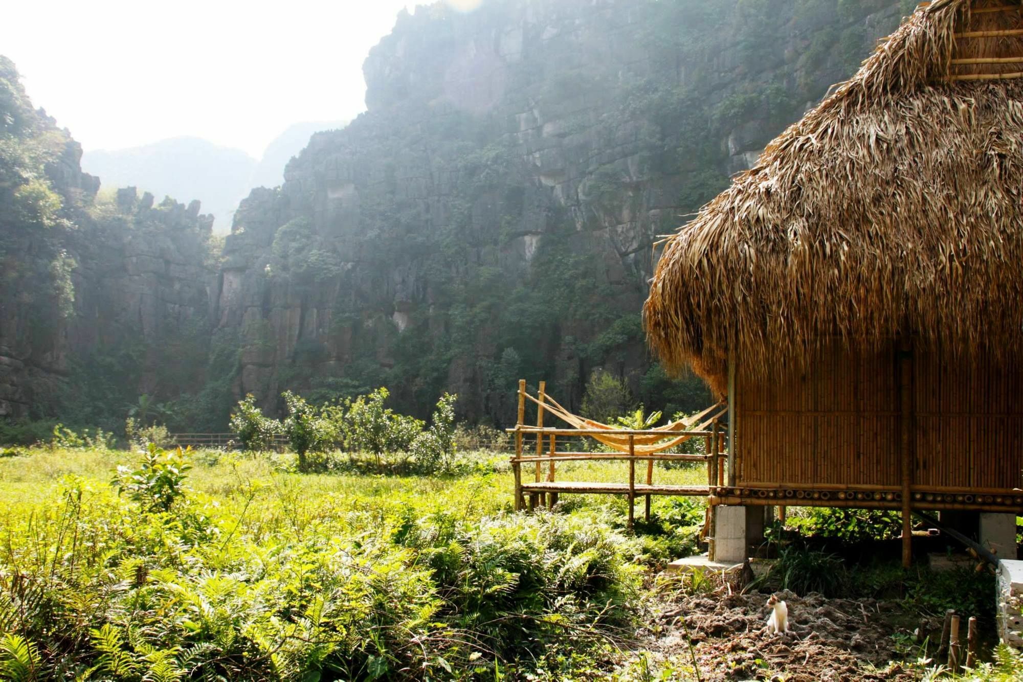 Nguyen Shack - Ninh Binh Apartman Kültér fotó